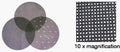 180 Grit 20in Mesh Screen Disc Box of 10 - Durable Open Mesh Abrasive