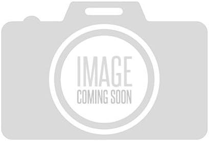 TRQ Gas Fuel Tank 16.9 gal for 1956 Ford Customline Fairlane