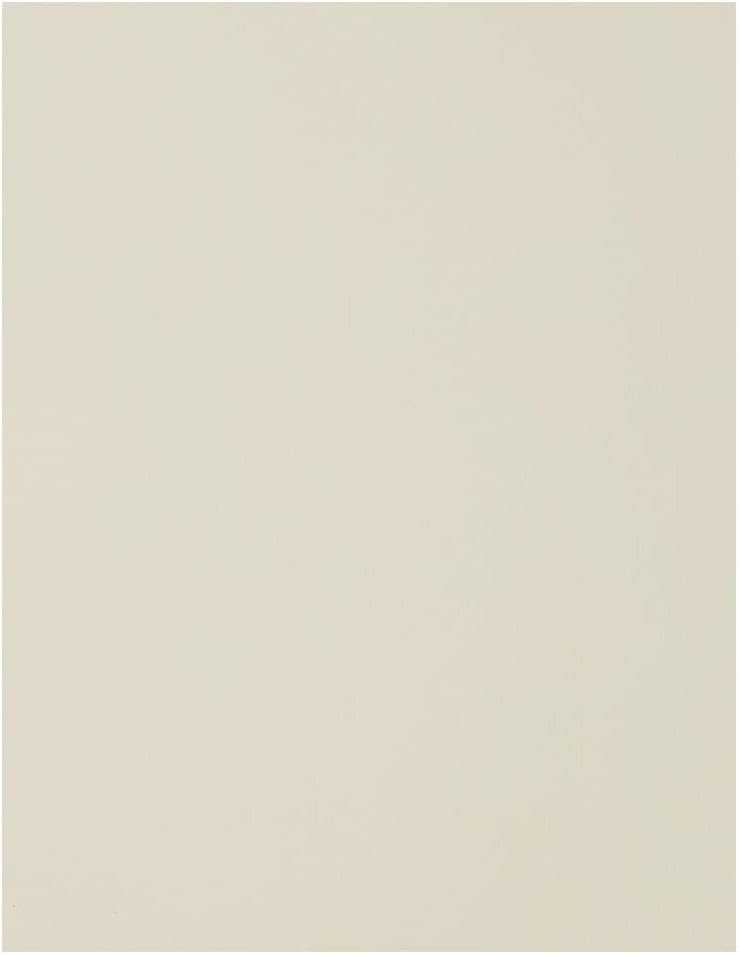LUXPaper 8.5 x 11 Cardstock for Crafting and Business Use