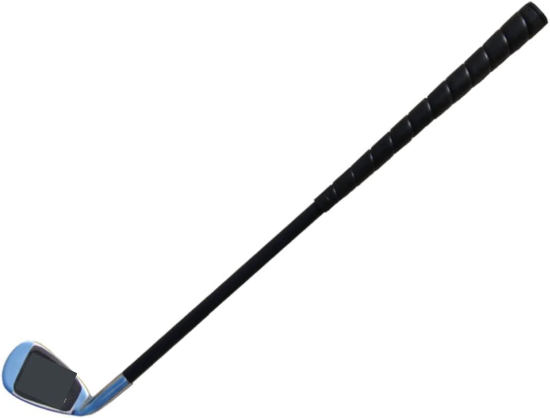 Portable Swing Trainer for Golfers