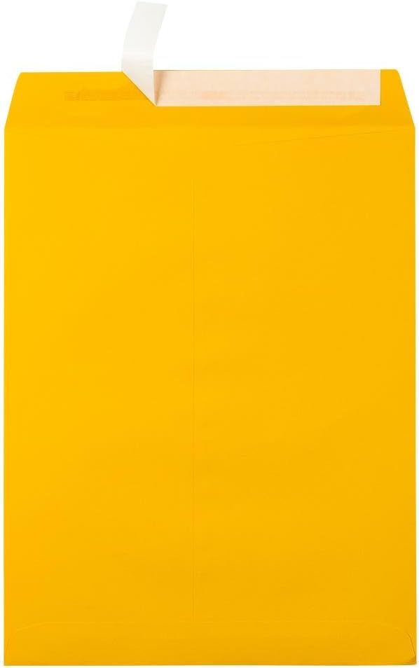 LUXPaper 10 x 13 Open End Envelopes for Business and Personal Use