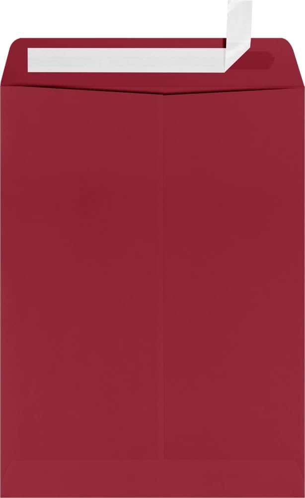 LUXPaper 9 x 12 Open End Envelopes for Business Mailings