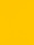 LUXPaper 8.5 in x 11 in Sunflower Yellow Paper - 500 Sheets