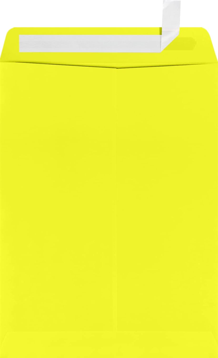 LUXPaper 9 x 12 Open End Envelopes for All Your Mailing Needs