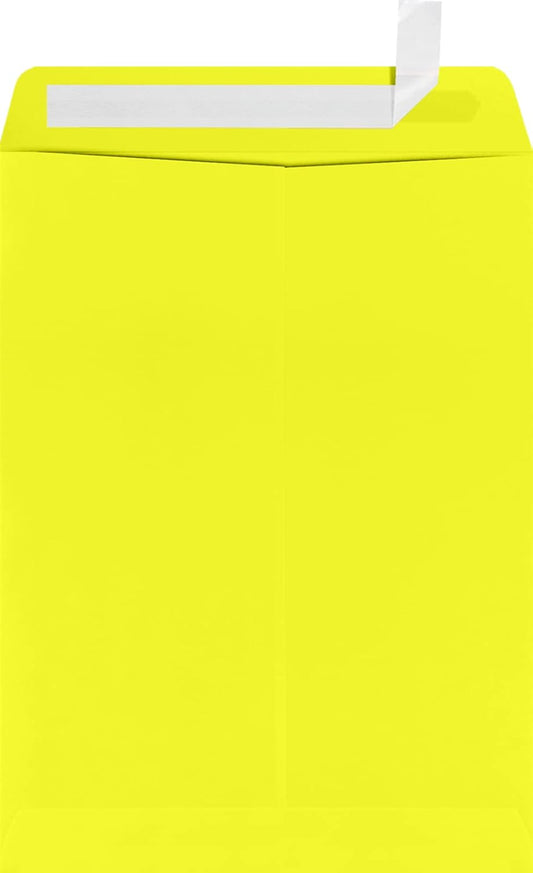 LUXPaper 9 x 12 Open End Envelopes for All Your Mailing Needs