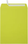 LUXPaper 10 x 13 Open End Envelopes Wasabi Green - Flat Document