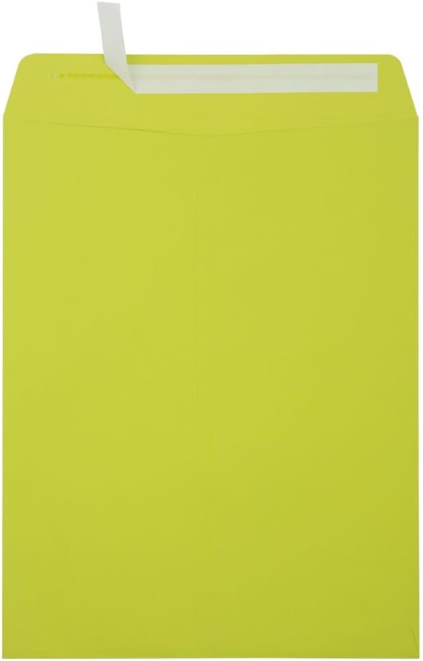 LUXPaper 10 x 13 Open End Envelopes for Business Mailings