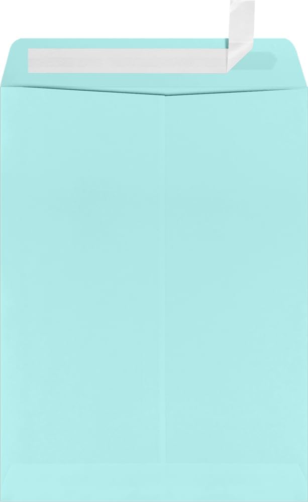 LUXPaper 9 x 12 Open End Envelopes for Business and Personal Use