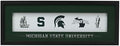 Michigan State University Logo Evolution Framed Wall Decor - Large