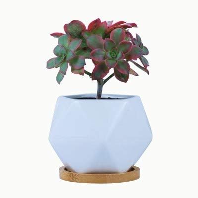 Explorador Wide Mouth Quart Jar - Case of 12