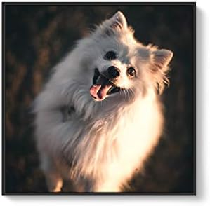 Custom Framed Canvas Prints for Pets - Personalized Wall Art