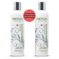 Moroccan Argan Oil Shampoo and Conditioner Set - Hydrating Repair