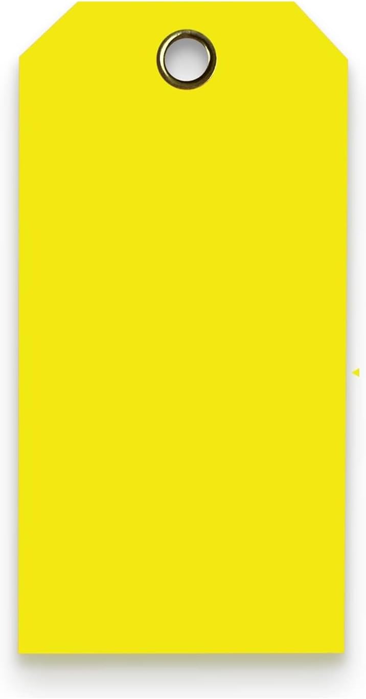 15 Mil Waterproof Plastic Tags for Outdoor Tagging and Labeling
