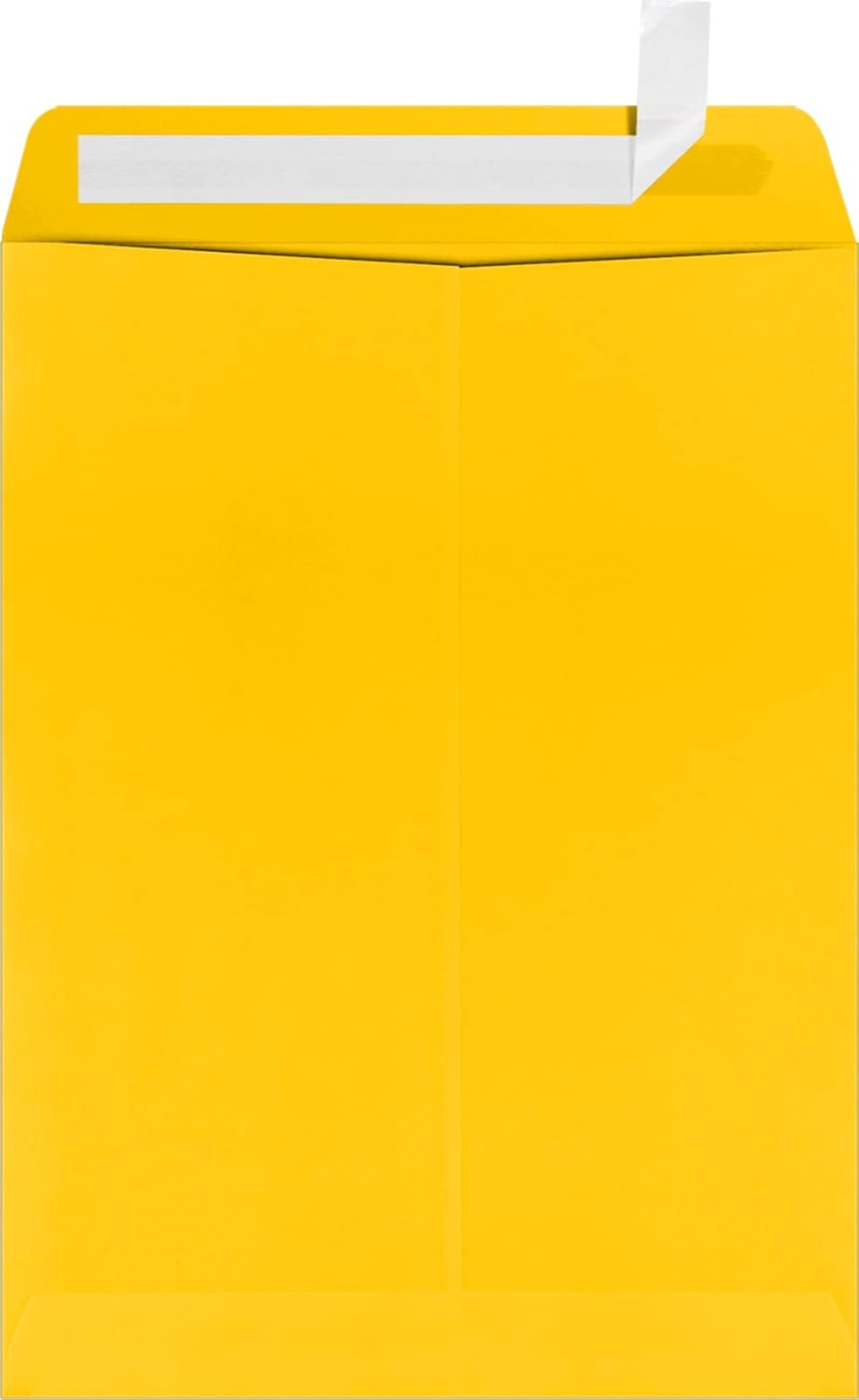 LUXPaper 9 x 12 Open End Window Envelopes for Business Use