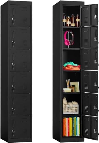INTERGREAT 6-Door Metal Employee Lockers for Office and Gym