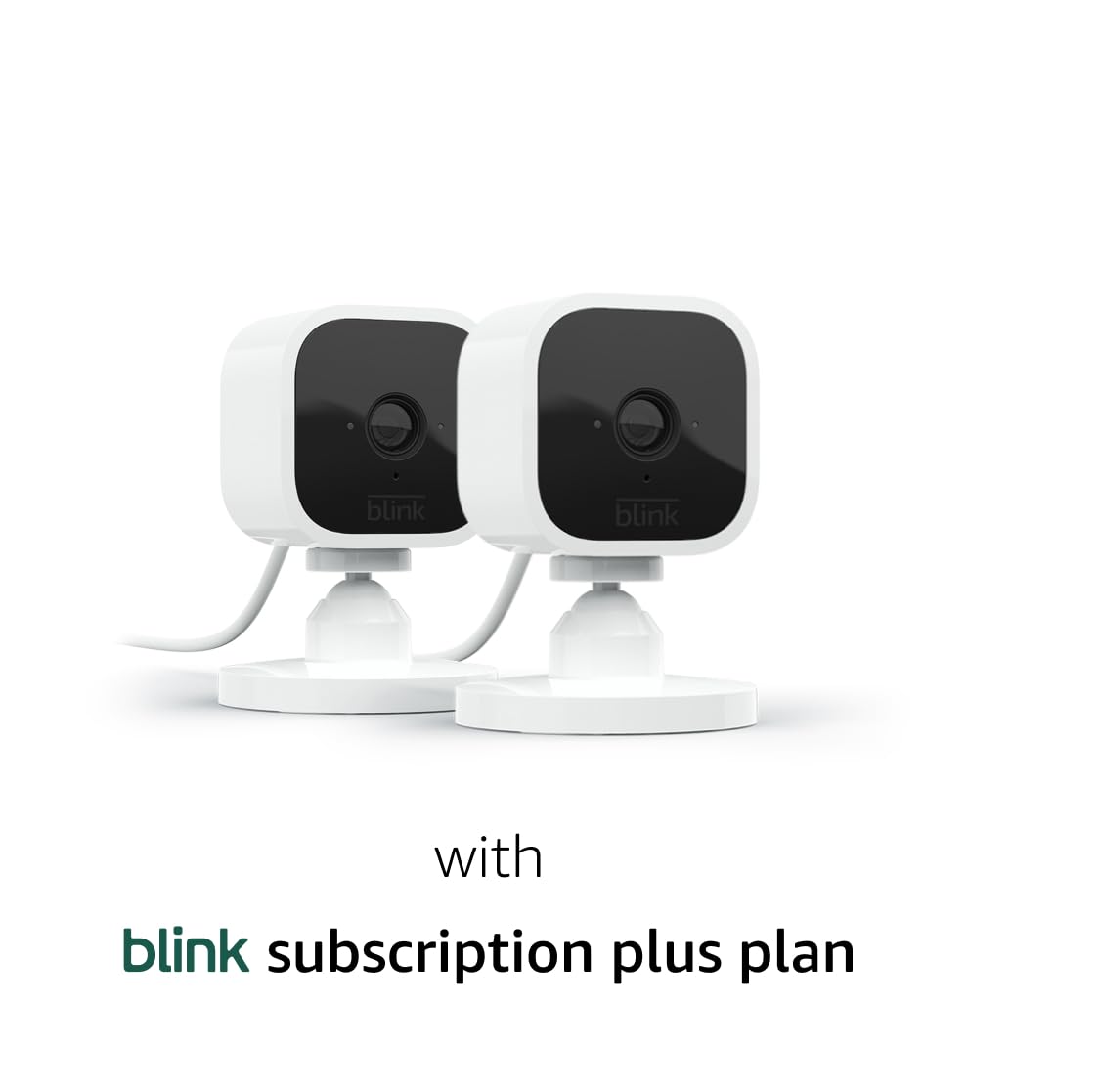 2 Cameras + 1-Year Subscription: Blink Mini Bundle