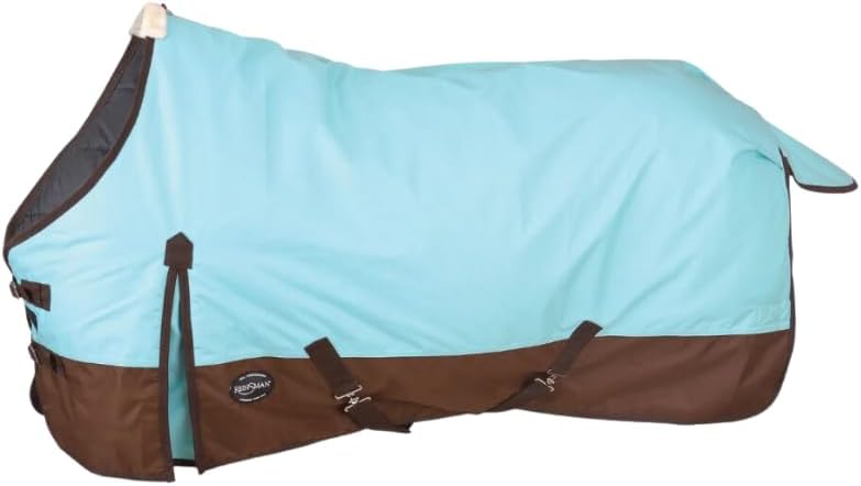 Waterproof 300g Turnout Horse Blanket - Aqua/Brown - Tack Shack