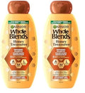 Garnier Honey Treasures Shampoo Duo, Repair Delight