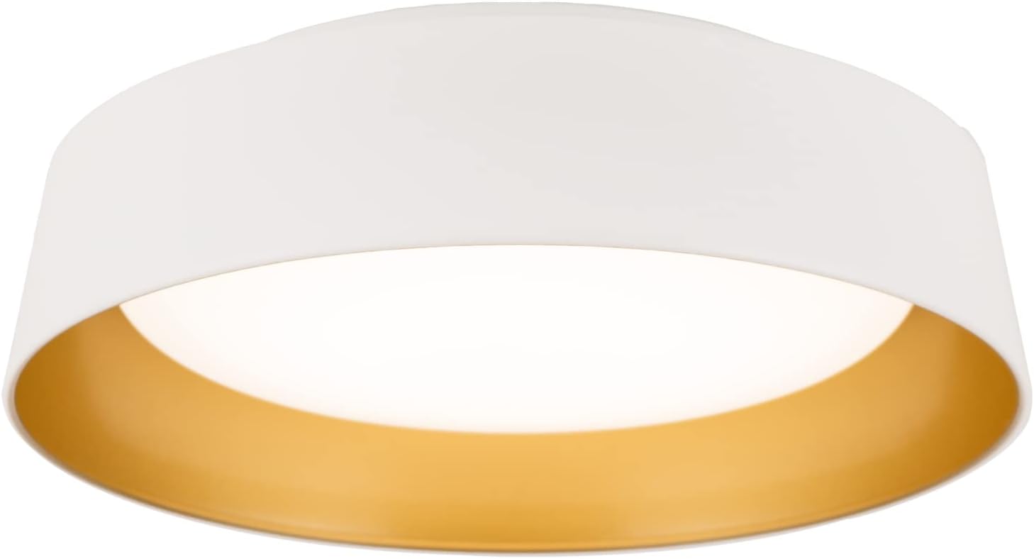 12.5 Inch LED Flush Mount Ceiling Light Fixture for Any Room
