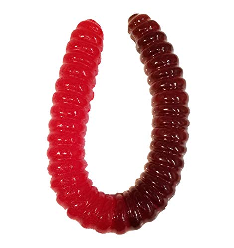 World's Largest Gummy Worm - Vanilla/Cola Flavor Delight
