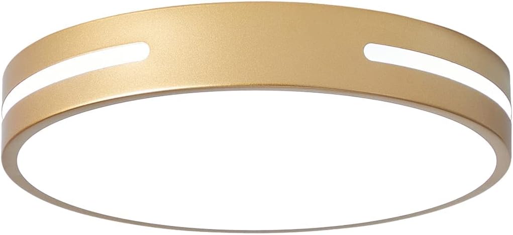Gold LED Light Fixtures Ceiling Mount for Modern Interiors