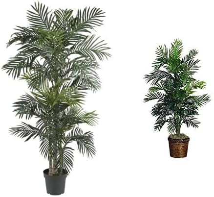 6.5ft Golden Cane Palm and 56in Areca Palm Silk Trees Review