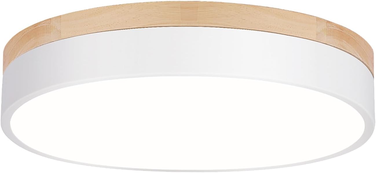 Modern Dimmable LED Flush Mount Ceiling Light Fixture for Home