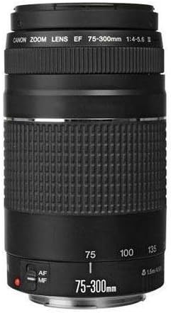 Canon EF 75-300mm f/4-5.6 III Lens with ProOptic Filter Kit