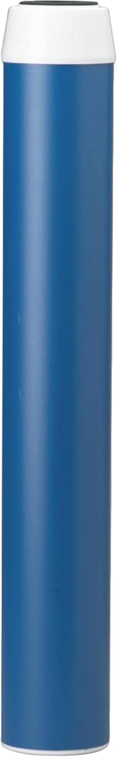 Pentair Pentek GAC-20 Carbon Water Filter for Whole House Use