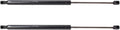 TRQ Driver & Passenger Side Liftgate Lift Support Set - Direct Fit