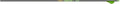 Gold Tip Hunter XT Arrows with 2-Inch Raptor Vanes - Stable Hunting