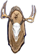 Custom European Mount Plaque for Deer Skull - Natural Bark Wood
