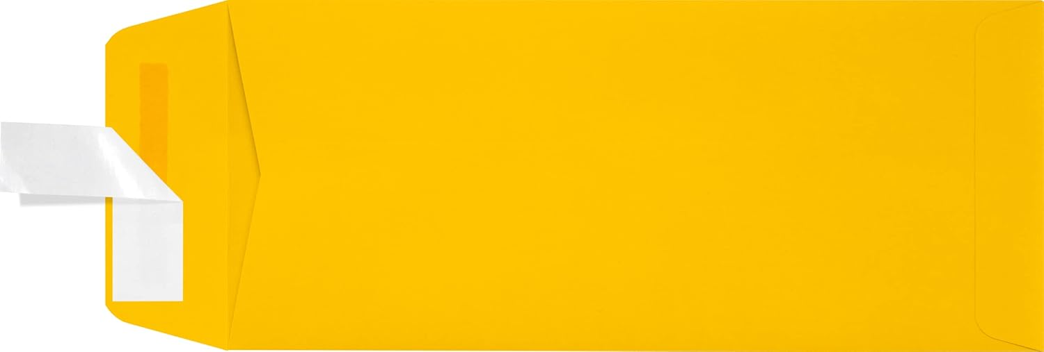 LUXPaper #10 Policy Business Envelopes for Professional Use
