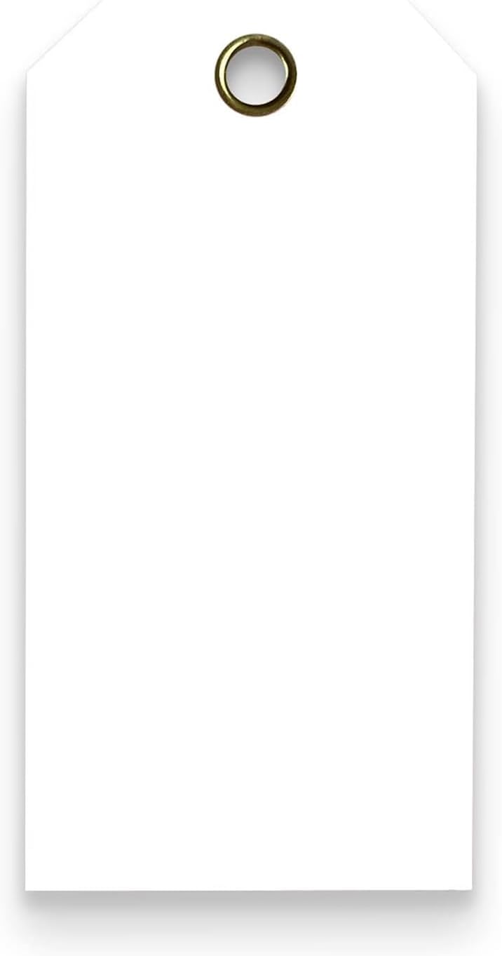 15 Mil Waterproof Plastic Tags for Outdoor Tagging and Labeling