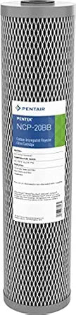 Pentair Pentek NCP-20BB Big Blue Carbon Water Filter Review