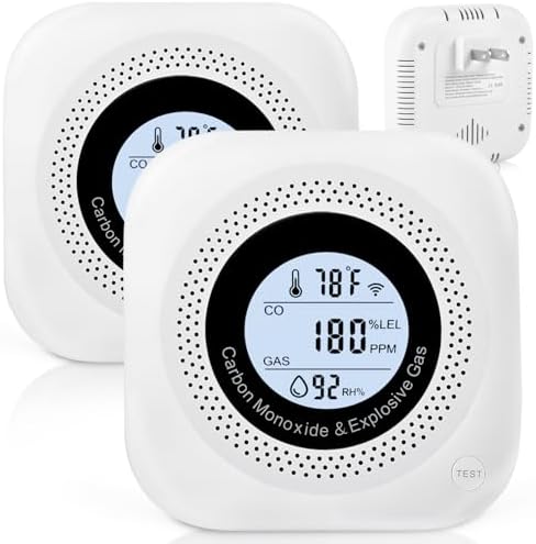 Portable Carbon Monoxide Detectors for Home and Travel Safety