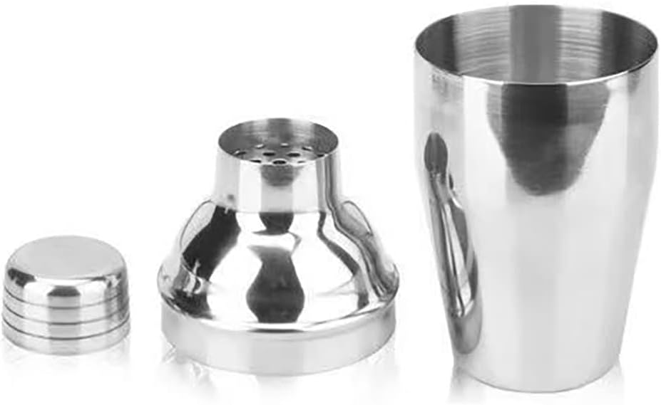 Stainless Steel Cocktail Shaker Set - 10oz Capacity