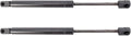 TRQ Driver & Passenger Side Trunk Lid Lift Support Shock Strut Set