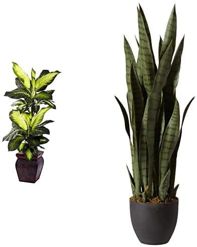 Nearly Natural Sansevieria and Dieffenbachia with Planters