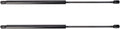 TRQ Liftgate Lift Support Shock Strut Set for 2004-2006