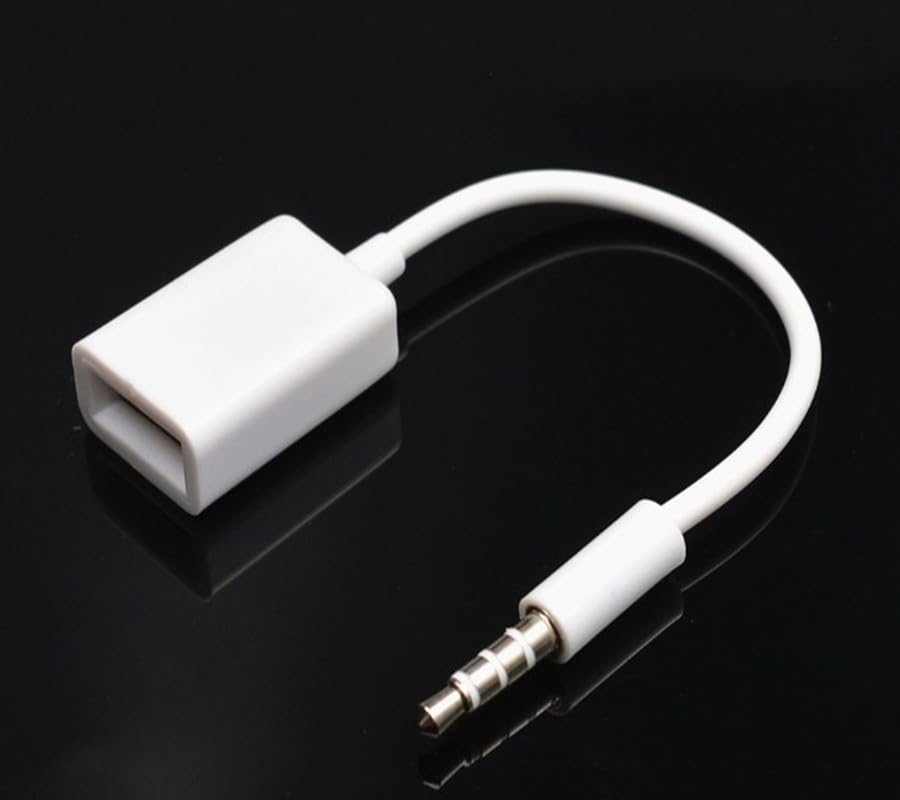 Plug & Play in-car music with BUBUCAM OTG Adapter