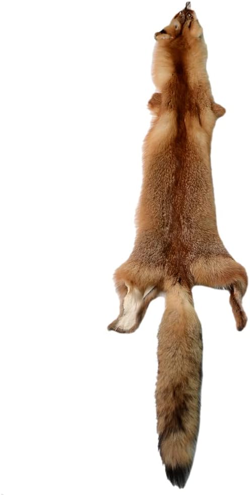 Natural Tanned Red Fox Pelts for Crafts and Decor Projects