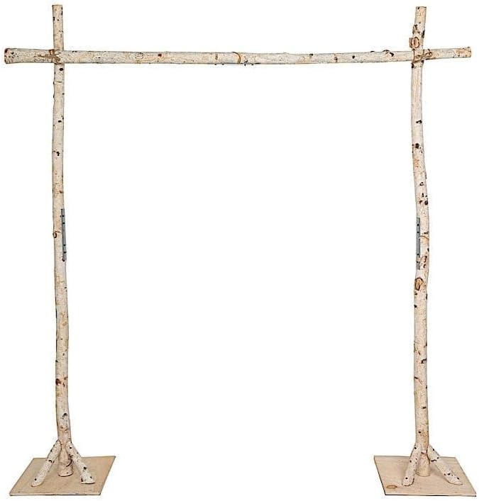 Balsa Circle 7.5 feet Natural Birch Wood Backdrop Stand for Events