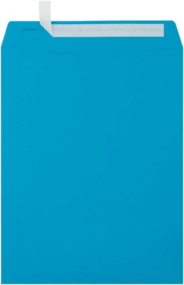LUXPaper 10 x 13 Open End Envelopes for Business and Personal Use