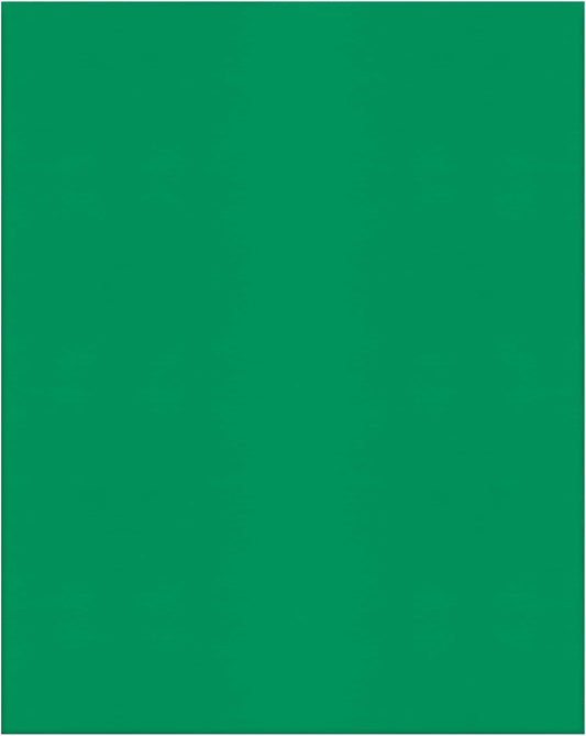 10-Pack Fastener Twin-Pocket Portfolios, Light Green
