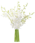20 White Orchid Bouquet for Valentine - Fresh Long-Lasting Blooms