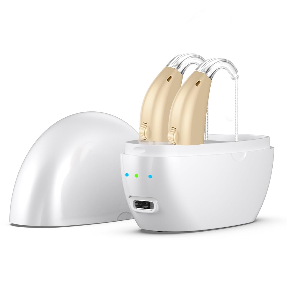 Rechargeable Hearing Aids for Seniors with Noise Cancelling