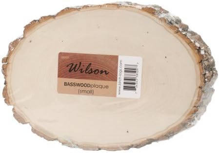 Wilson Basswood Plaque Bulk Value Box for Arts and Crafts