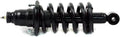 Gabriel Ultra ReadyMount Rear Left Strut Assembly for Honda Element