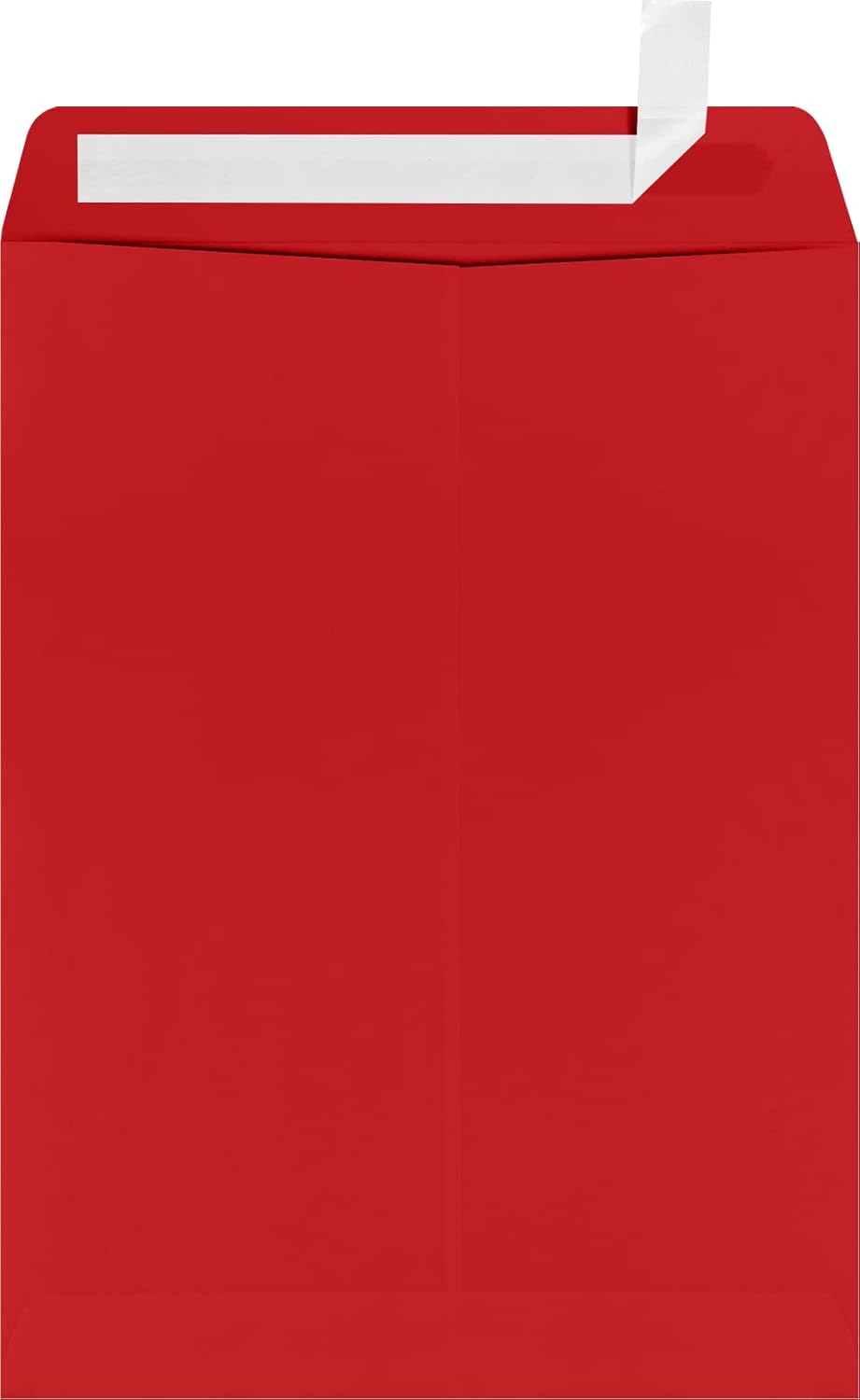 LUXPaper Ruby Red 9 x 12 Open End Envelopes for Mailing